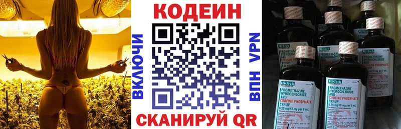 Купить где  Медвежьегорск  Кодеин напиток Lean (лин) 
