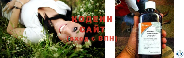 прущие крисы Балахна