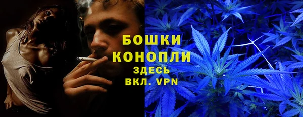 прущие крисы Балахна