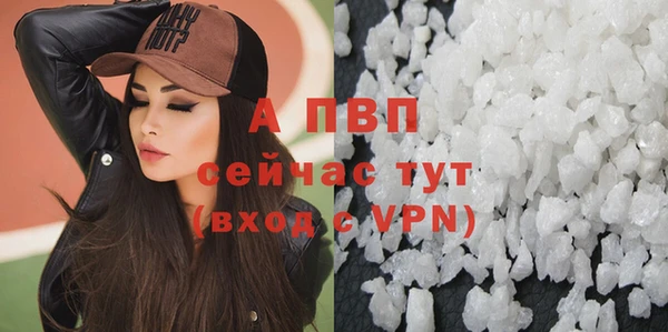 spice Белокуриха
