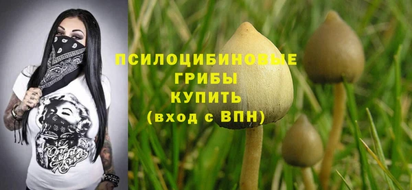молекула духа Баксан
