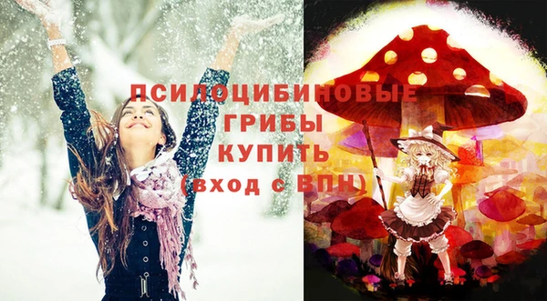прущие крисы Балахна