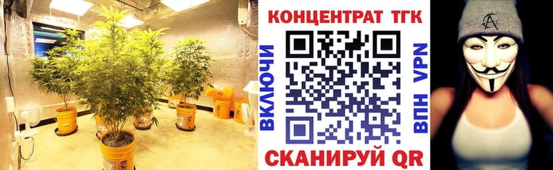Купить закладки  Медвежьегорск  ТГК вейп с тгк 